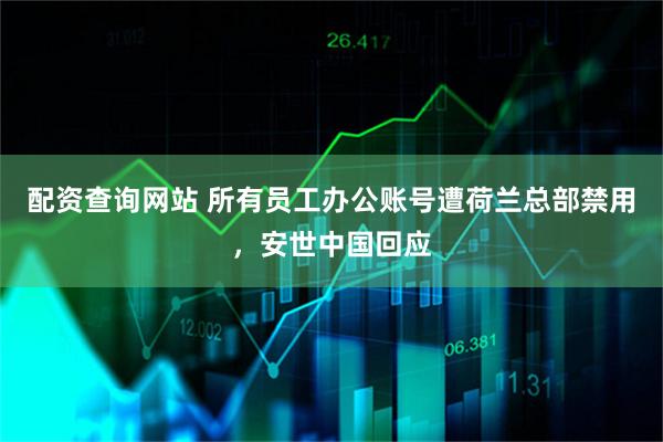 配资查询网站 所有员工办公账号遭荷兰总部禁用，安世中国回应